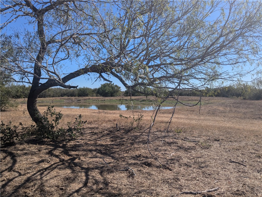 0 Cr 145 Property Photo