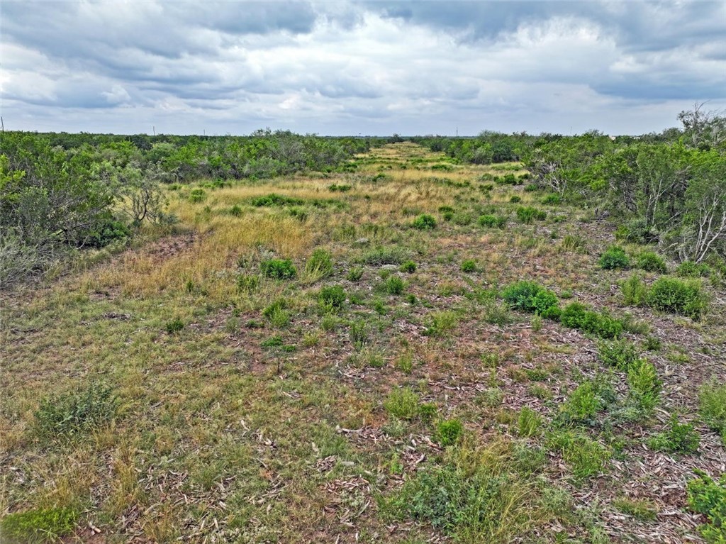 0 Cr 145 Property Photo 2