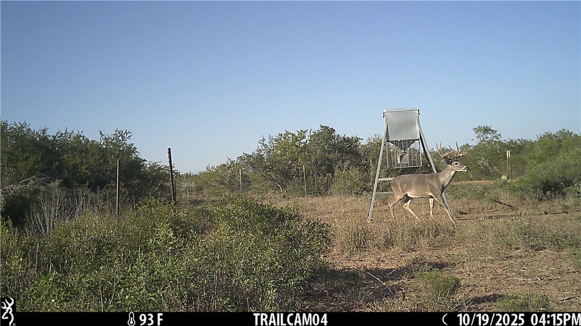 0 Cr 145 Property Photo 23