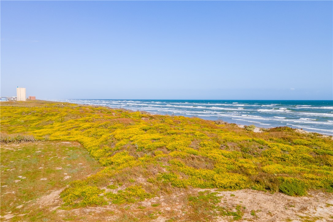 101 Mustang Island Estates Dr Property Photo 18