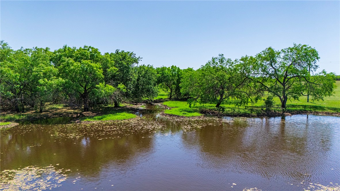 4003 Fm-1349 Property Photo 15