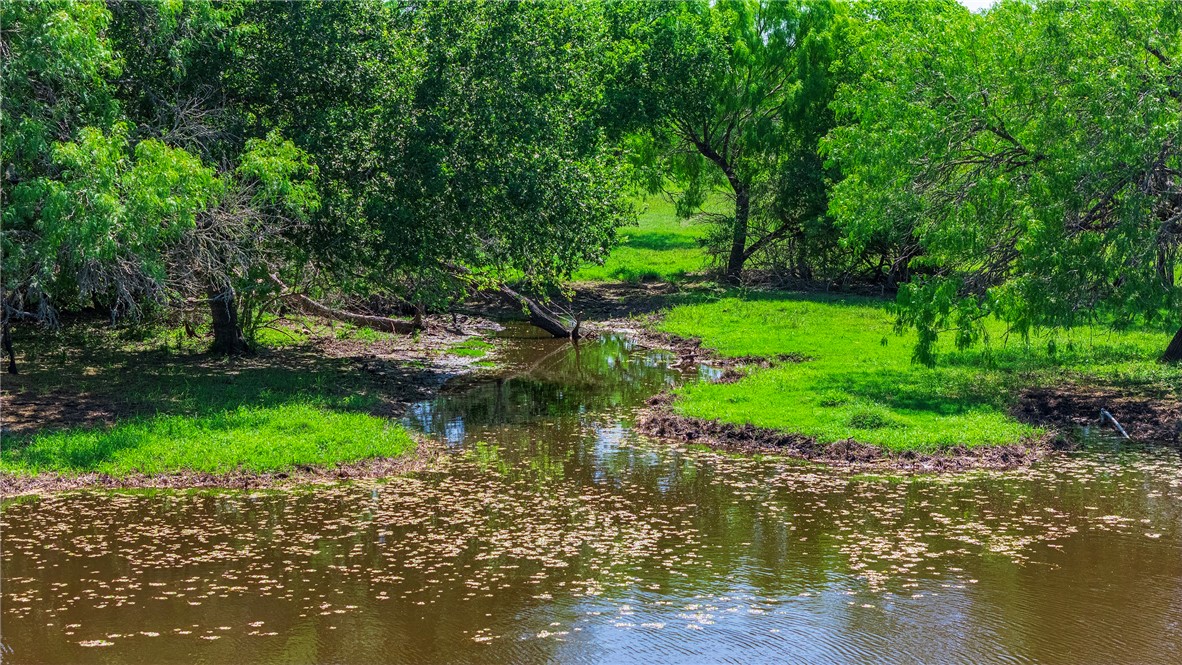 4003 Fm-1349 Property Photo 16