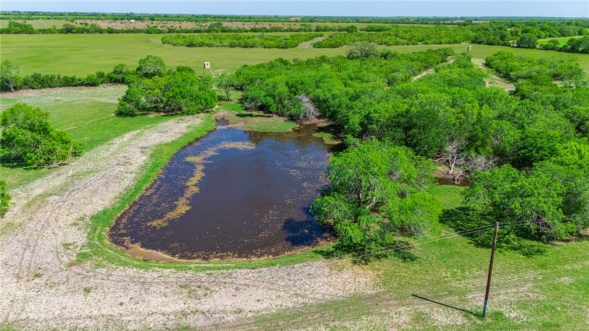 4003 Fm-1349 Property Photo 17