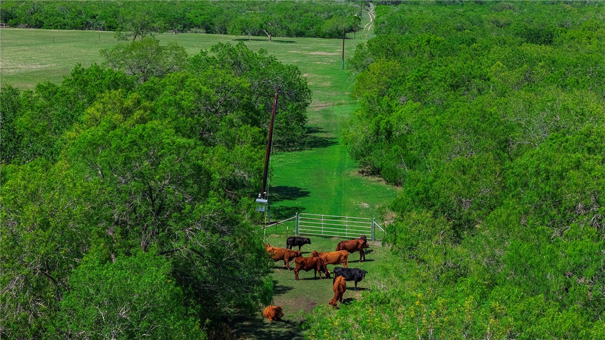 4003 Fm-1349 Property Photo 20