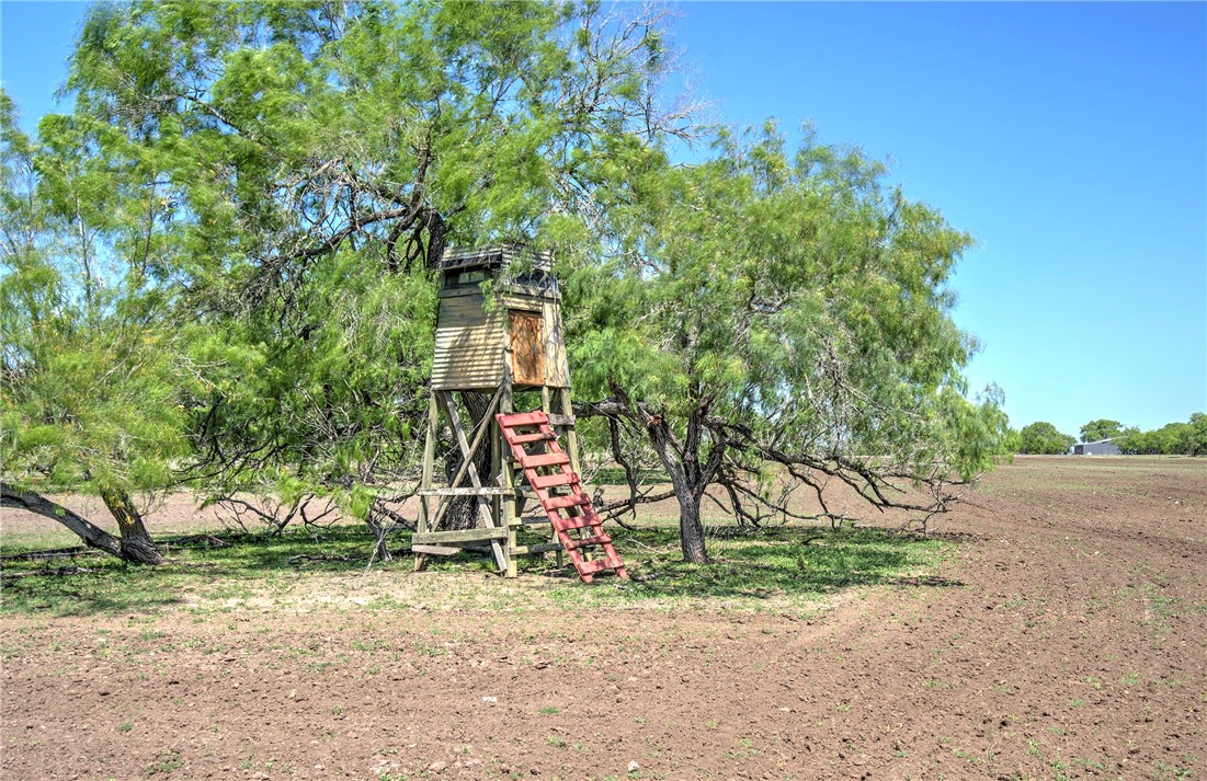 4003 Fm-1349 Property Photo 30