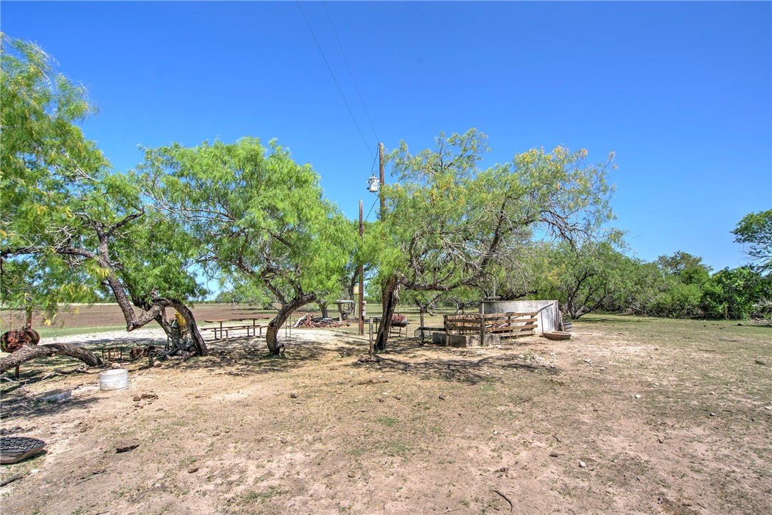 4003 Fm-1349 Property Photo 34
