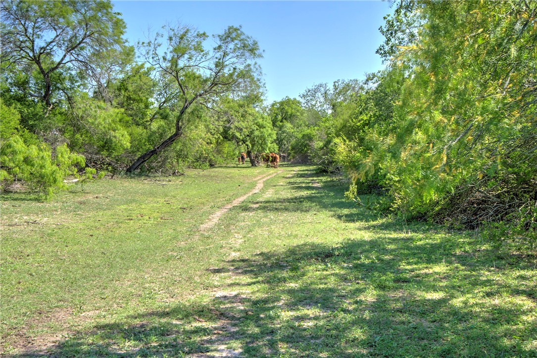 4003 Fm-1349 Property Photo 39