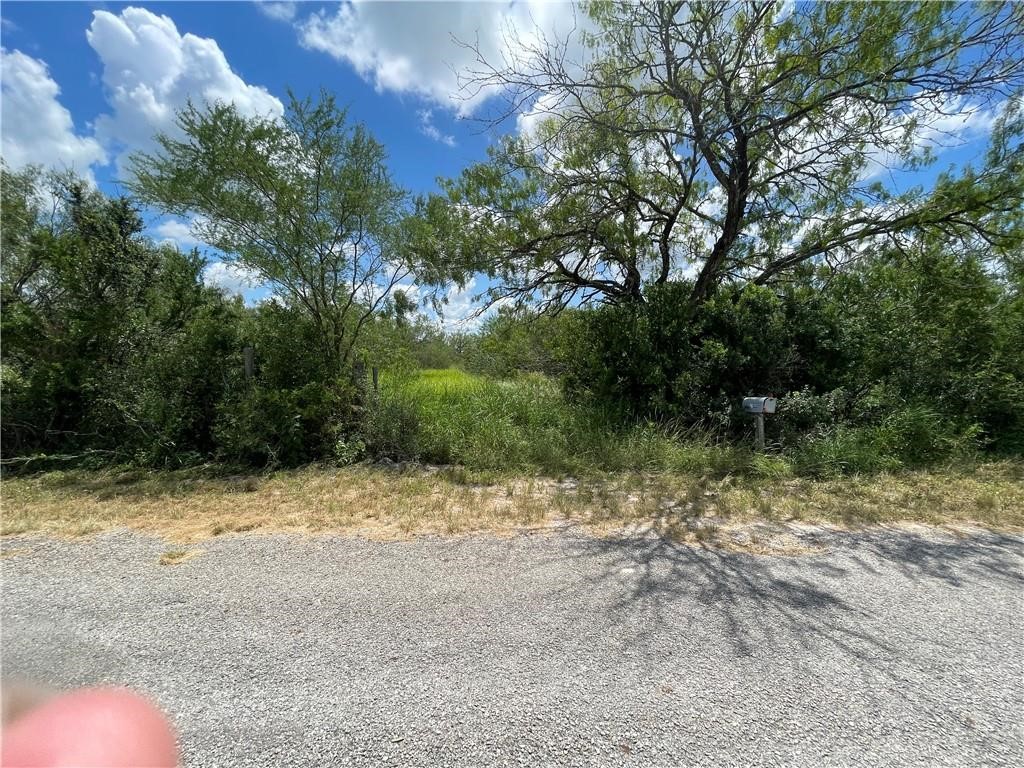 114 County Road 230 Property Photo 4