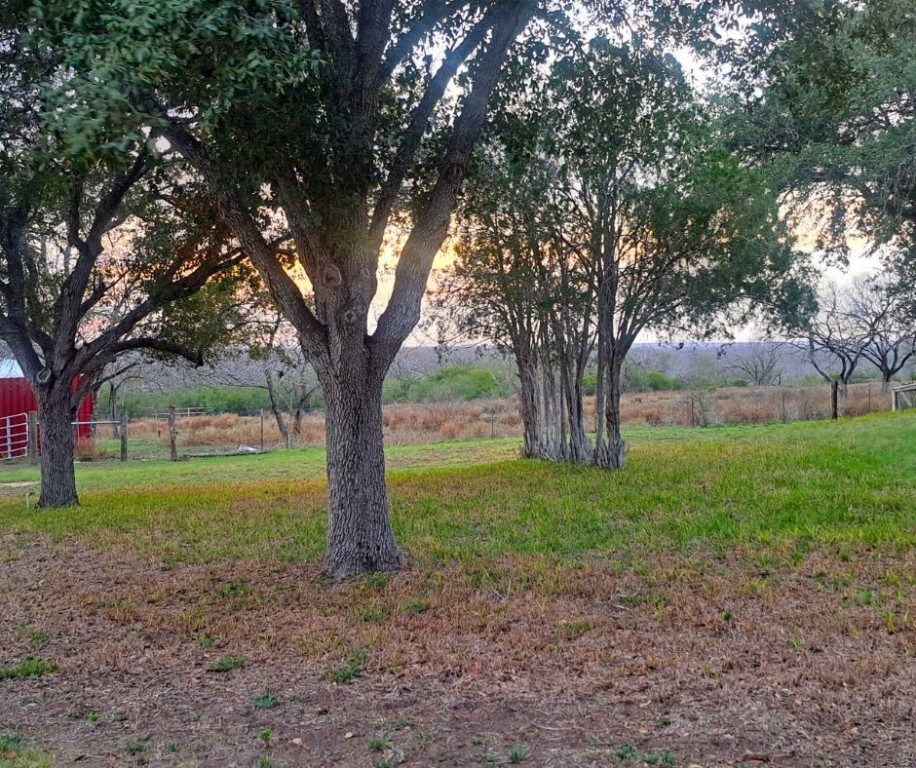 112 Fm 1042 Property Photo 23