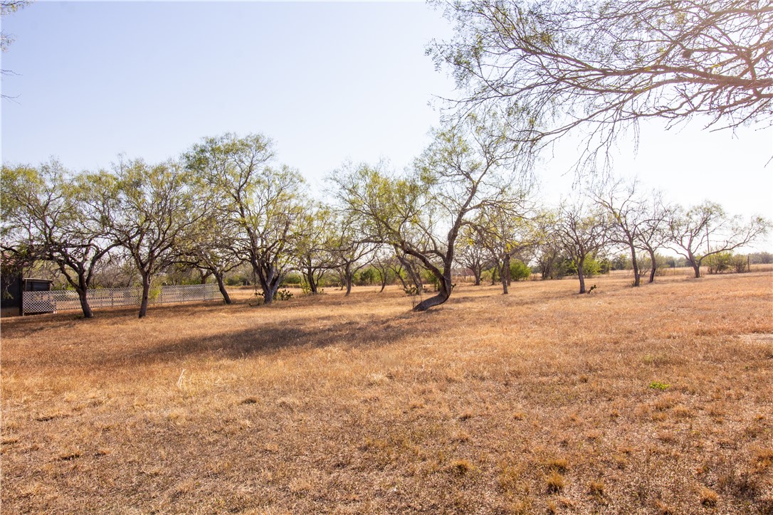 3838 Black Jack Property Photo 8
