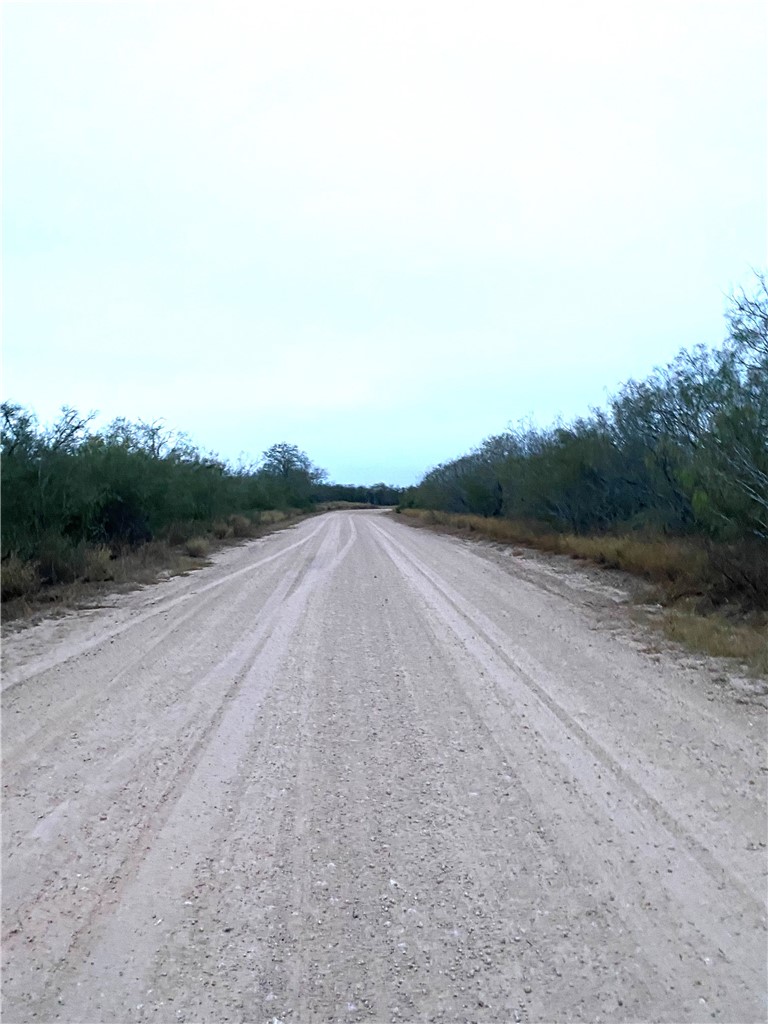 7039 County Road 205--22.22 Acres(+/-) Property Photo 3