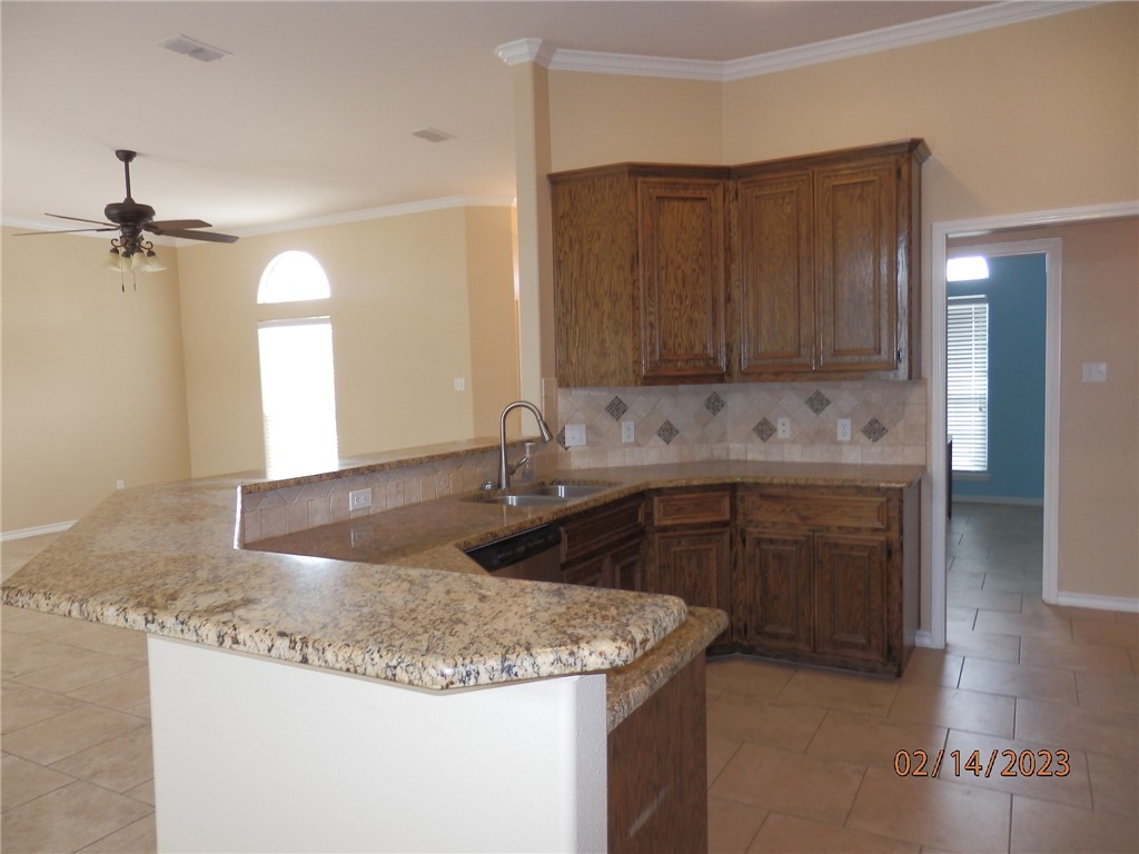 15853 Punta Espada Loop Property Photo 6