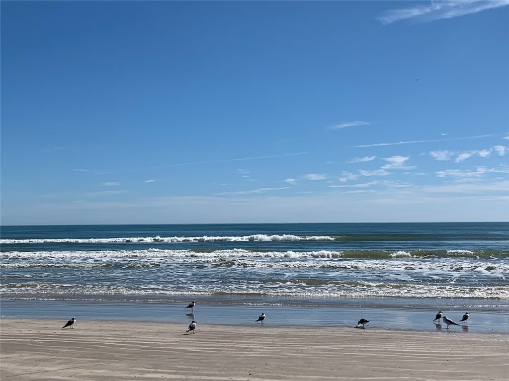 15023 Beach Walk Property Photo 34