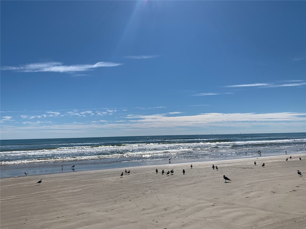 15023 Beach Walk Property Photo 35