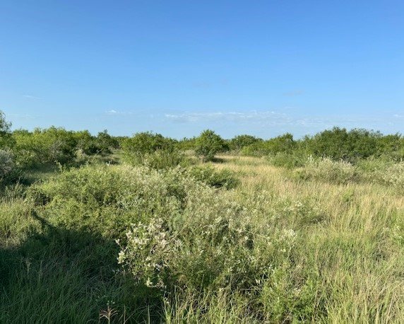 130 Highway 72 W Property Photo