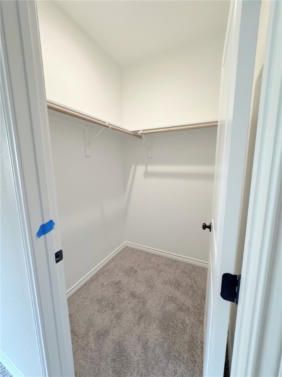 2409 Blessed St Property Photo 20