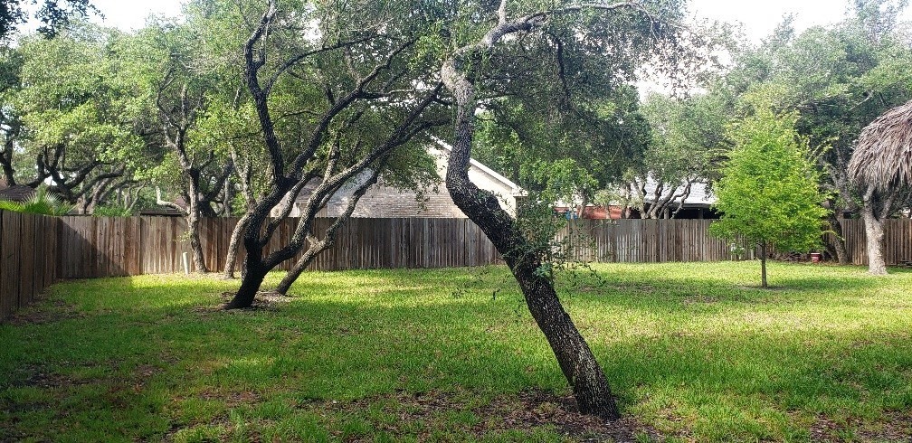 3111 Traylor Blvd Property Photo 5