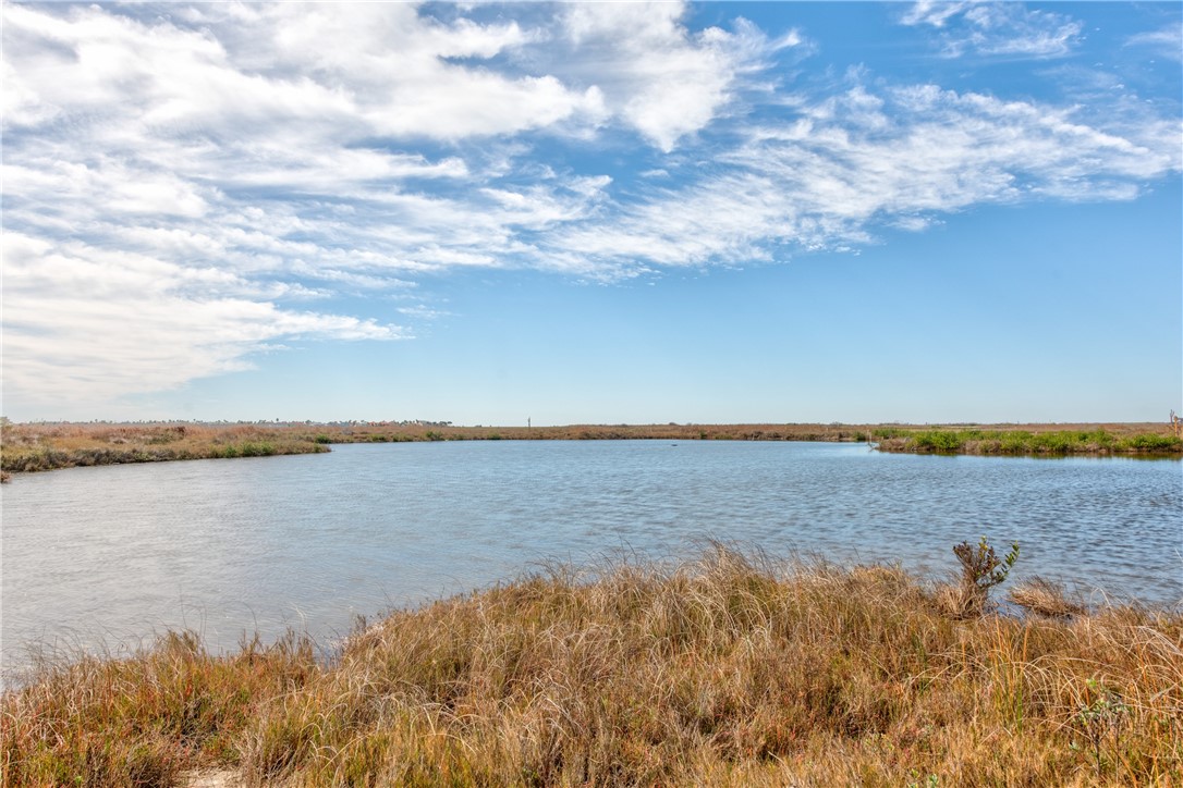 150 Flounder Property Photo 32