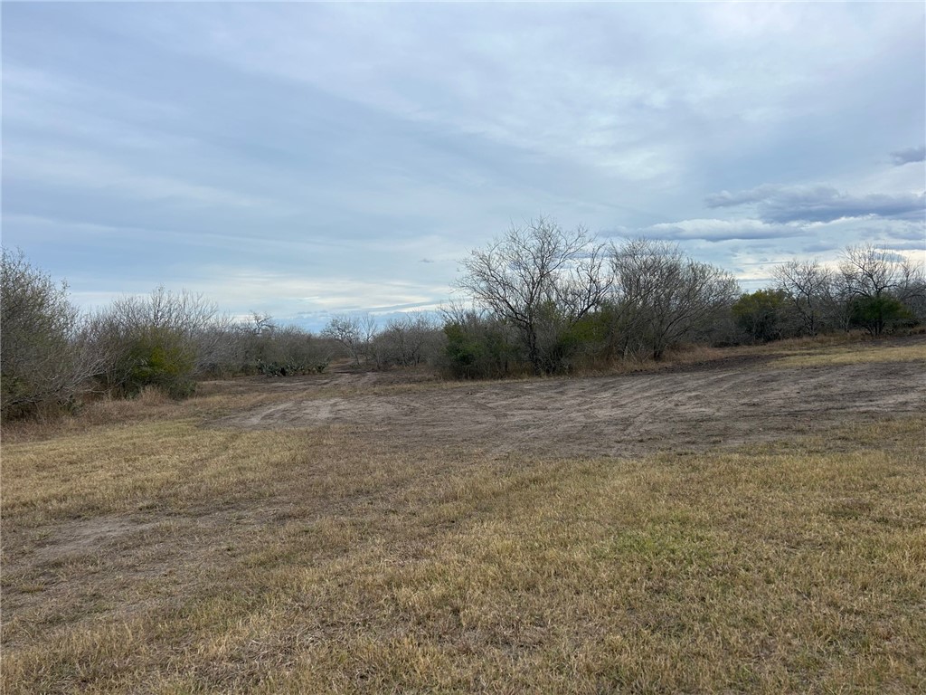 318 County Road 3032 Property Photo 9