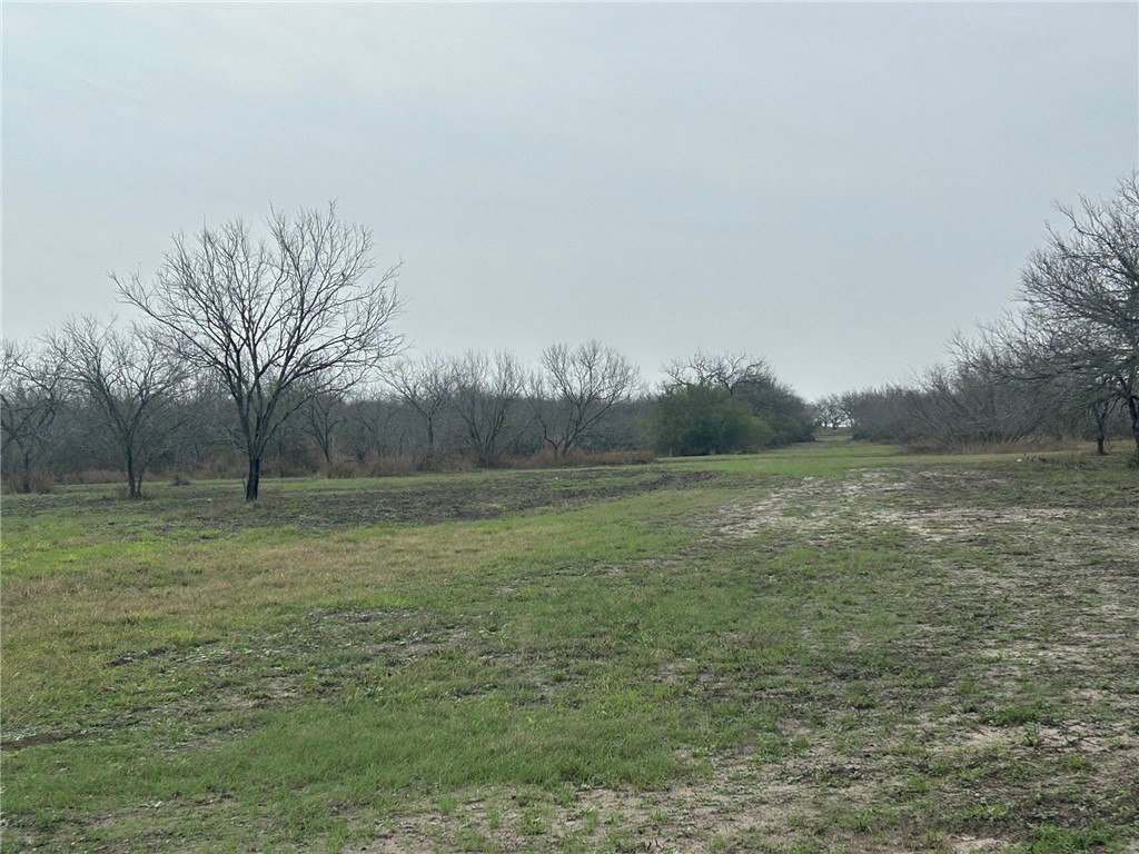 318 County Road 3032 Property Photo 12