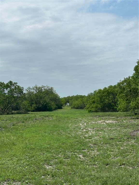 318 County Road 3032 Property Photo 14