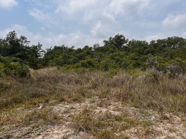 0 W Stoddard Ave Property Photo 2