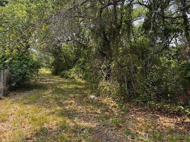 0 Mooney Property Photo 3