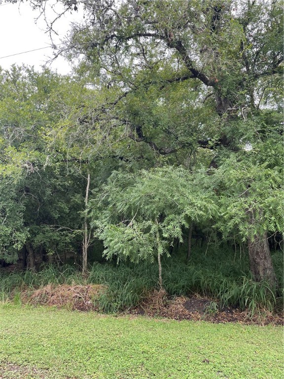 00 County Road 1718 Property Photo 10