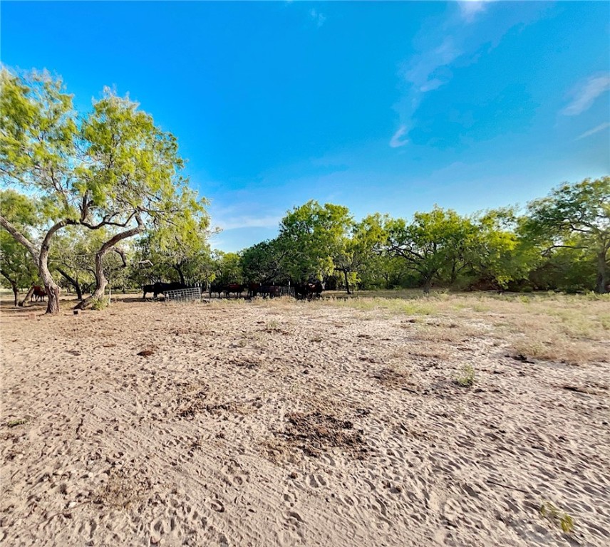 Cr 119 Property Photo 29