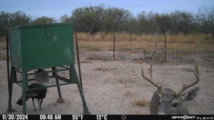 Cr 119 Property Photo 34