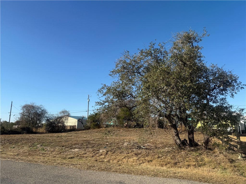 181 Shady Oak Ln Property Photo 3