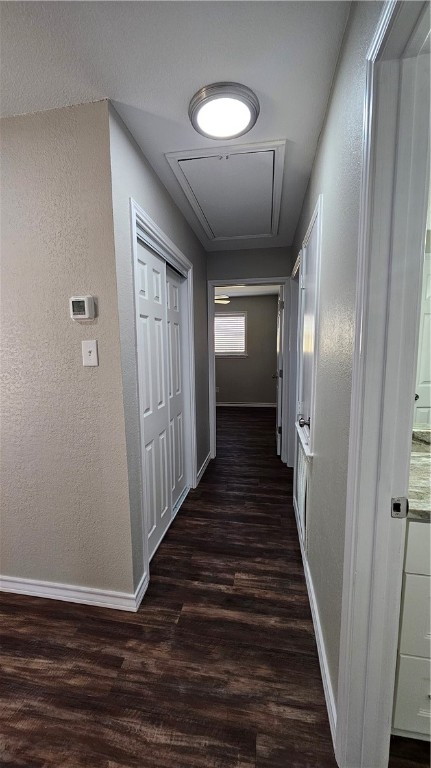 2438 Scotch Moss Dr Property Photo 31