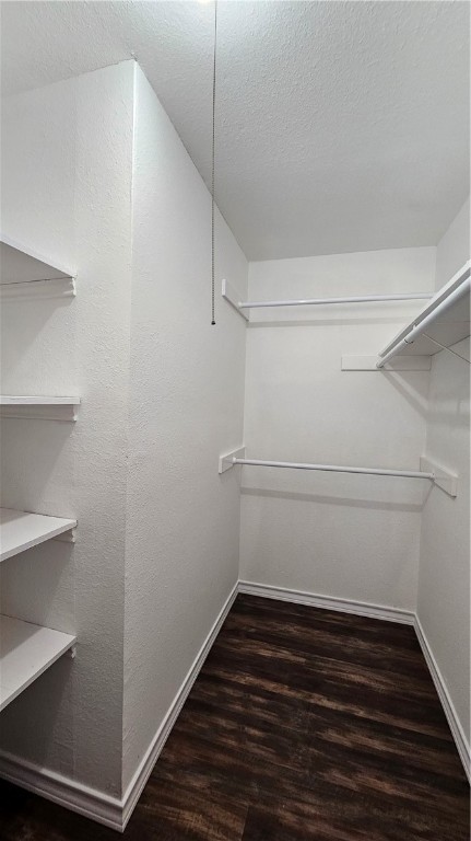 2438 Scotch Moss Dr Property Photo 35