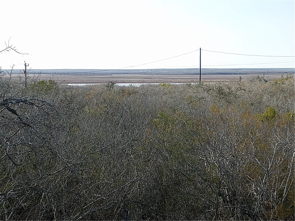 0000 Cr 390 & Fm 3024 Cr Property Photo 20