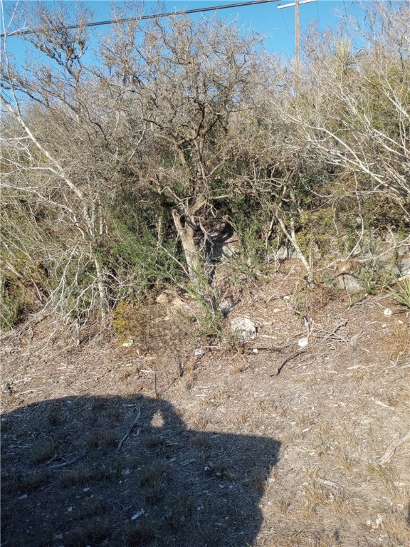 0000 Cr 390 & Fm 3024 Cr Property Photo 28