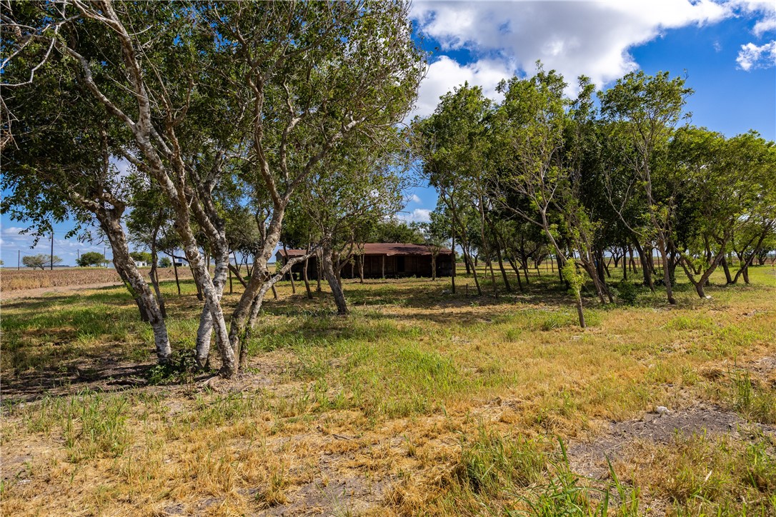 4123 County Road 36 Property Photo 3