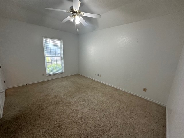 2411 Oak Brook Dr Property Photo 13