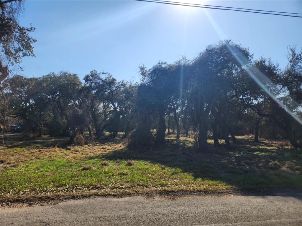 0000 Mooney Lane Property Photo