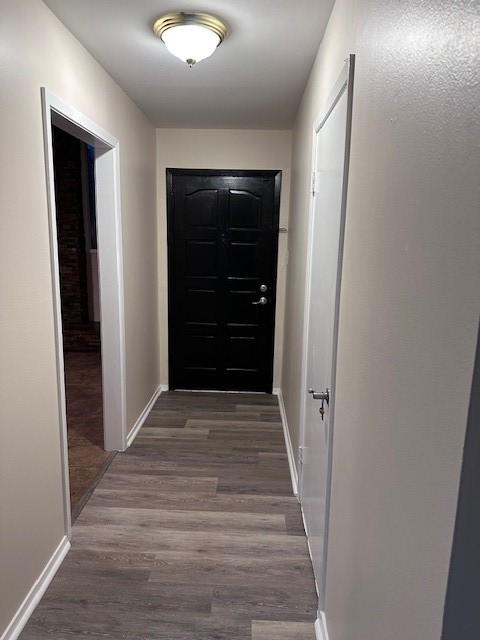 4633 Wilma Dr Property Photo 6