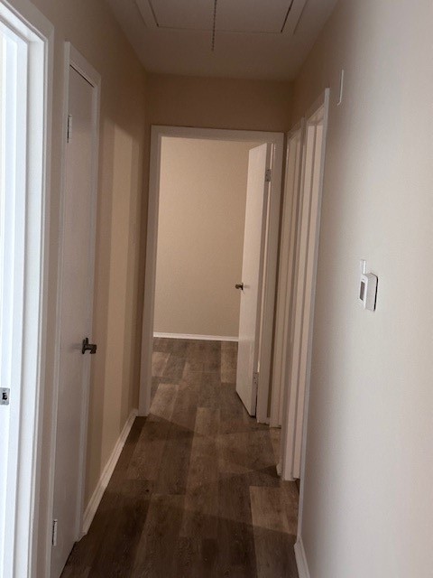 4633 Wilma Dr Property Photo 11