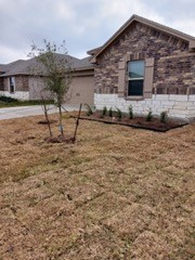 7821 Larit Toss Property Photo 2