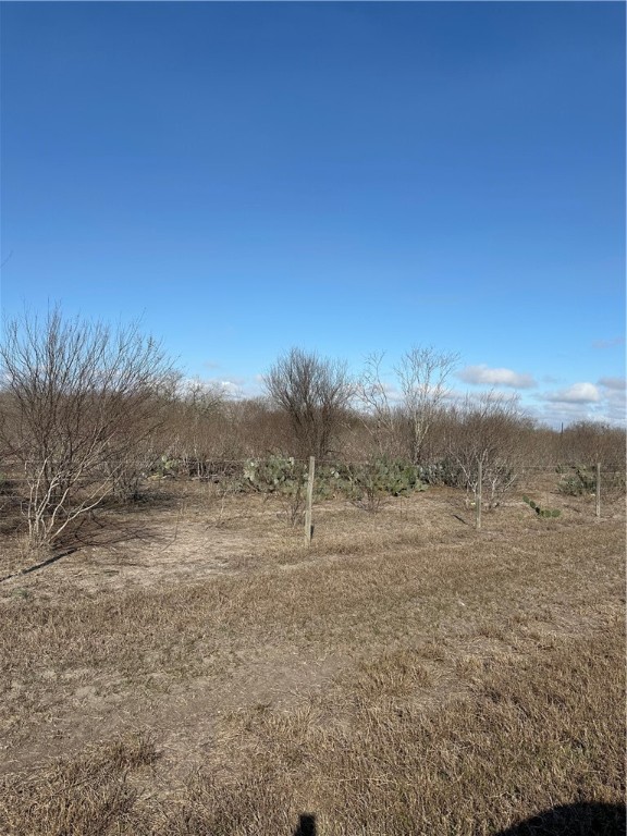 7495 Fm 2046 Property Photo 10