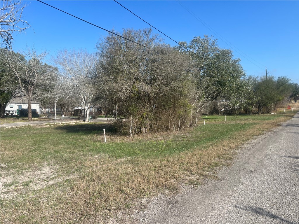 9561 County Road 509 Property Photo 5