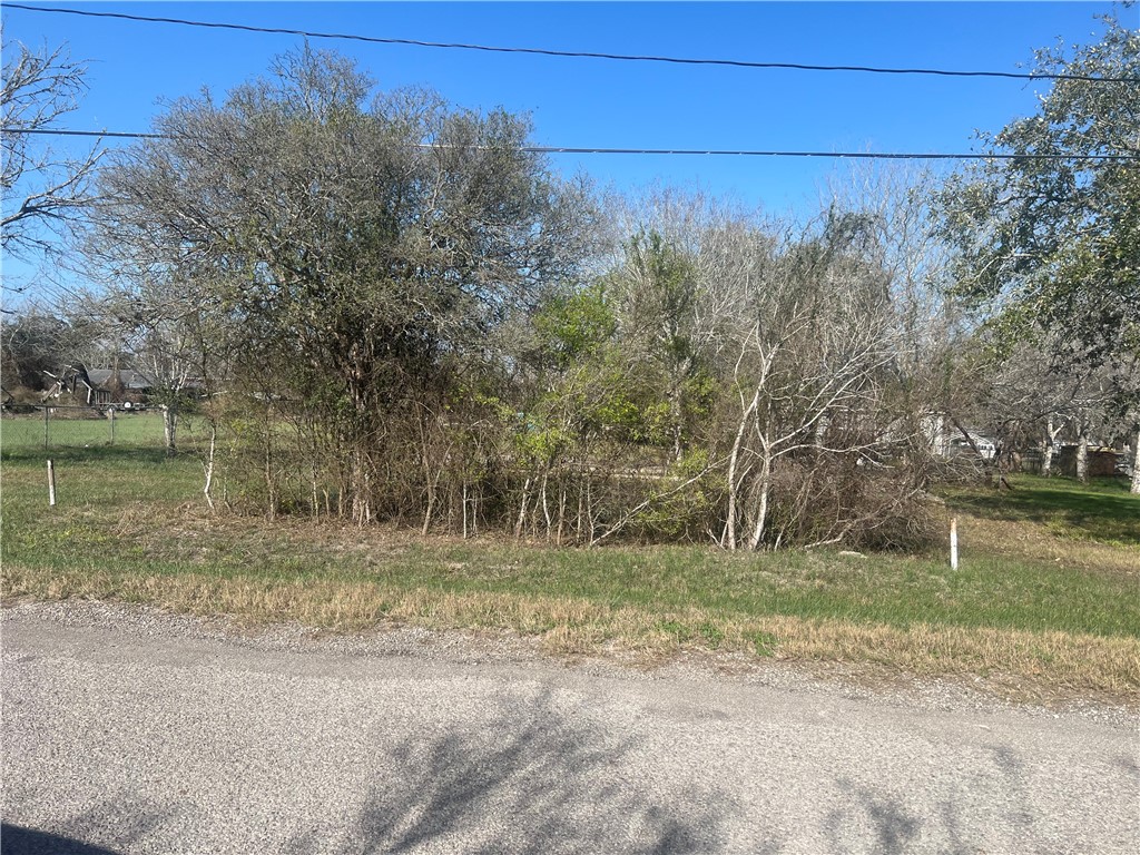 9561 County Road 509 Property Photo 6