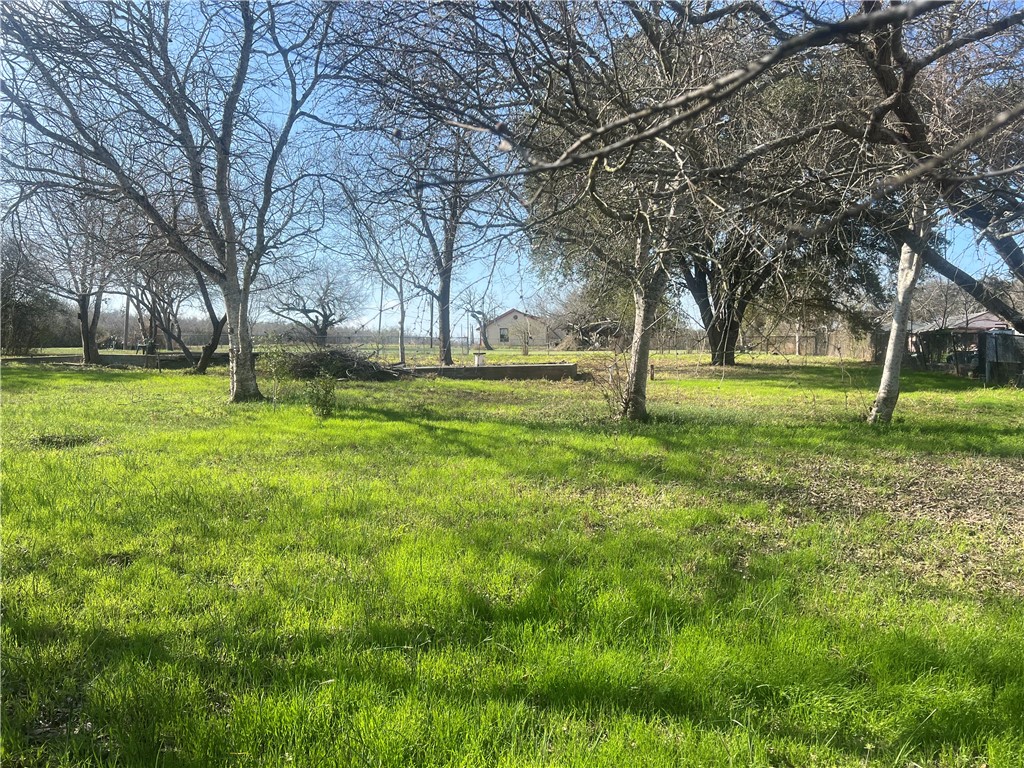 9561 County Road 509 Property Photo 8
