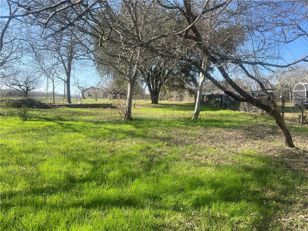 9561 County Road 509 Property Photo 9