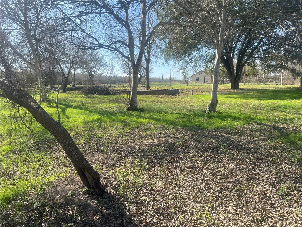 9561 County Road 509 Property Photo 10