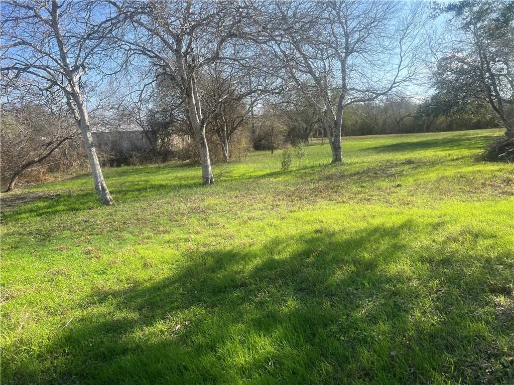 9561 County Road 509 Property Photo 13