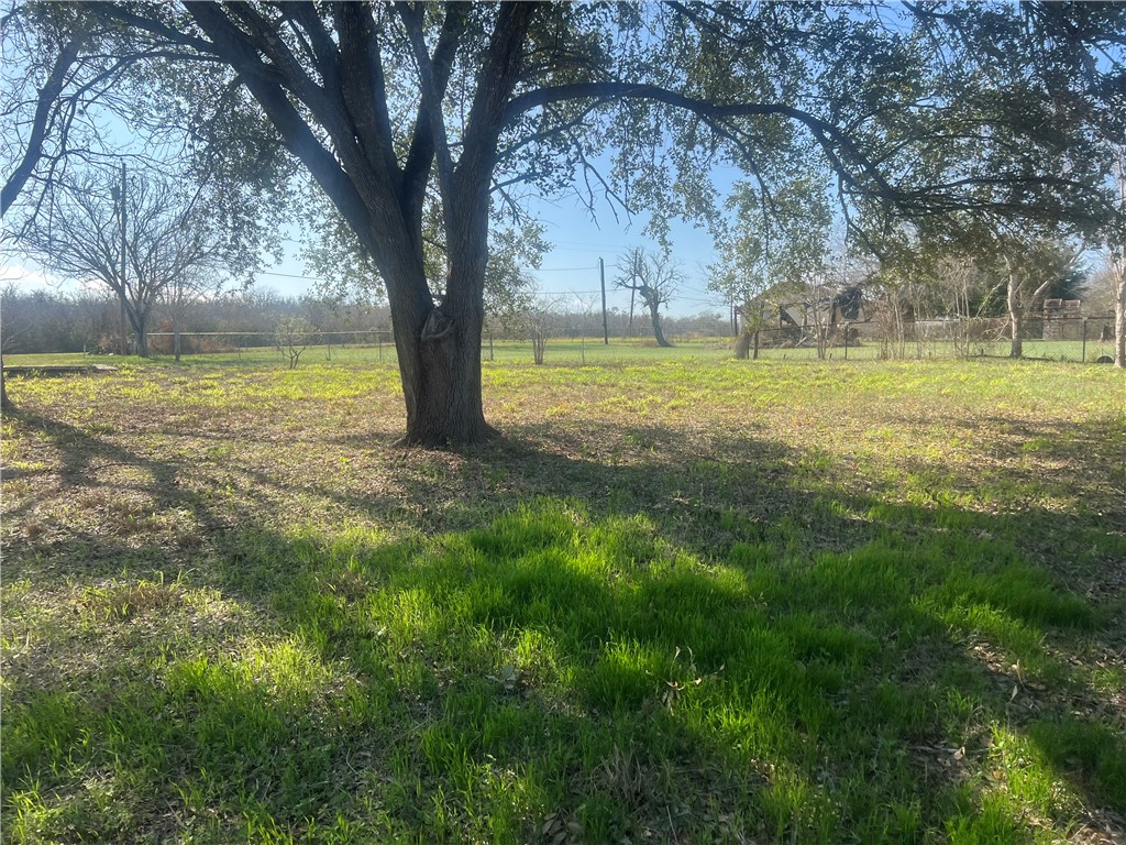 9561 County Road 509 Property Photo 14