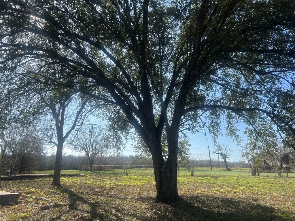 9561 County Road 509 Property Photo 15